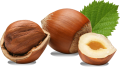 Fındık