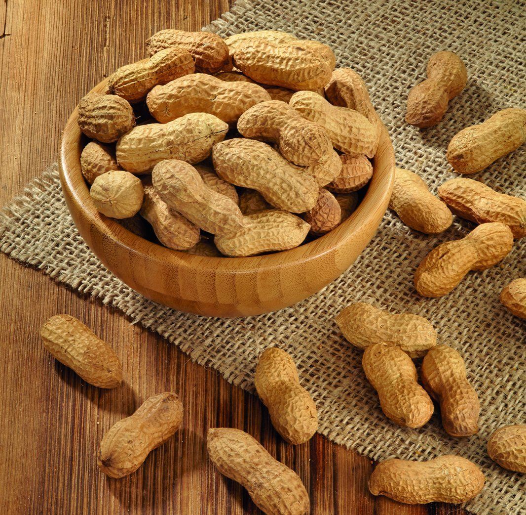 Kabuklu Fıstık 300 Gr